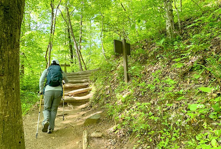 Stairs on the Juney Whank Falls Loop