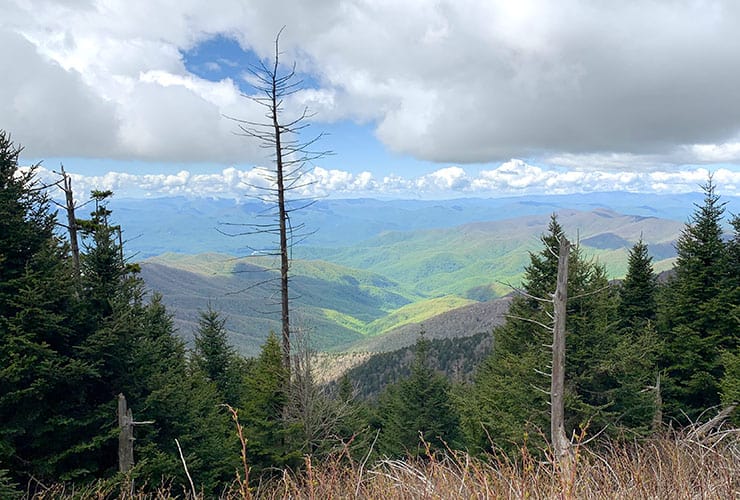 view from the hike up to clingmans dome