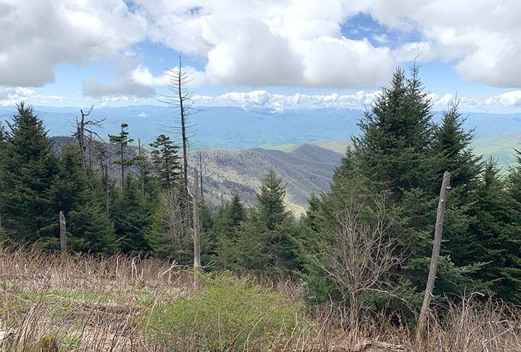 valley view on path up to clingmans dome