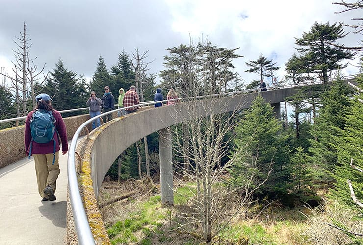 ramp up to clingmans dome lookout