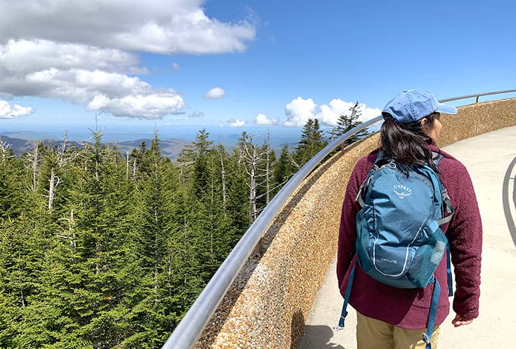 view from clingmans dome ramp