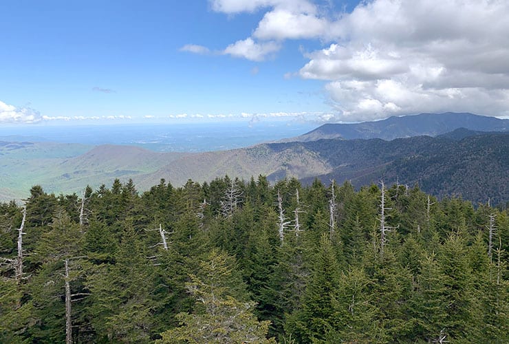 northern view from clingmans dome