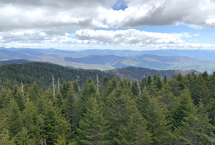 clingmans dome eastern view