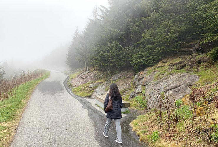 foggy path up to clingmans dome