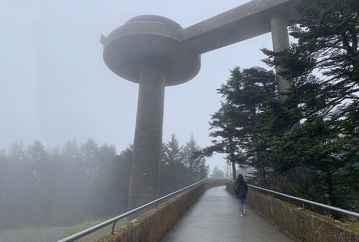 clingmans dome in the fog