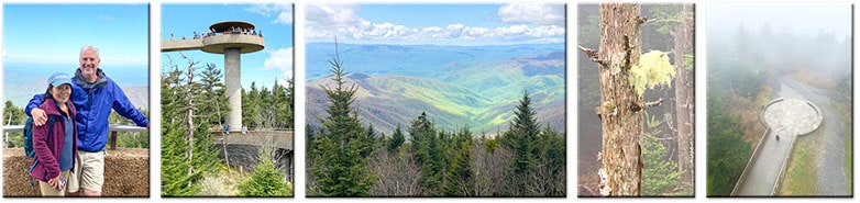 Clingmans-Dome-Great-Smoky-Mountains