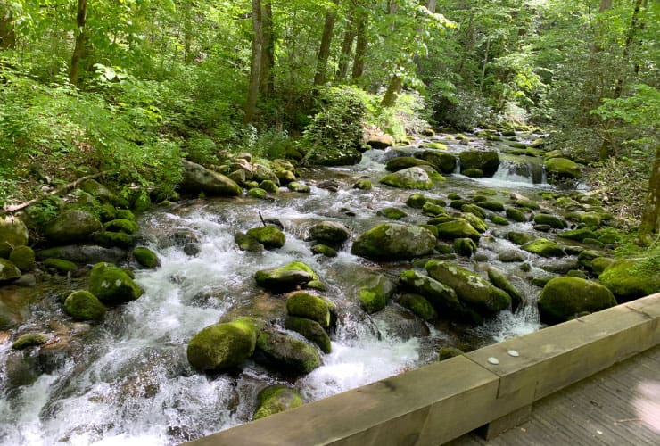 Roaring Fork Motor Nature Trail Rapids