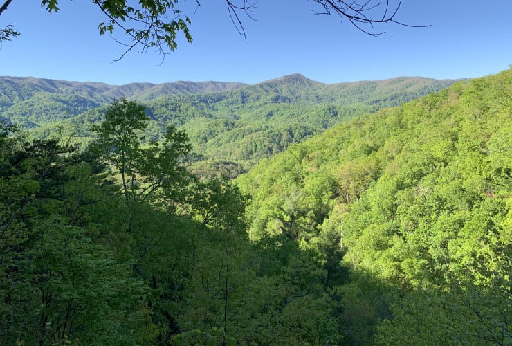 Views From Great Smoky Mountains Hiking Trails