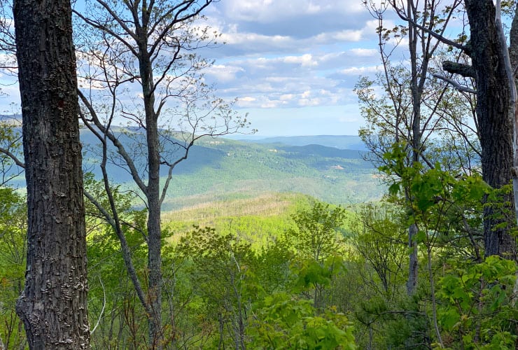 Smoky Mountains Trail View
