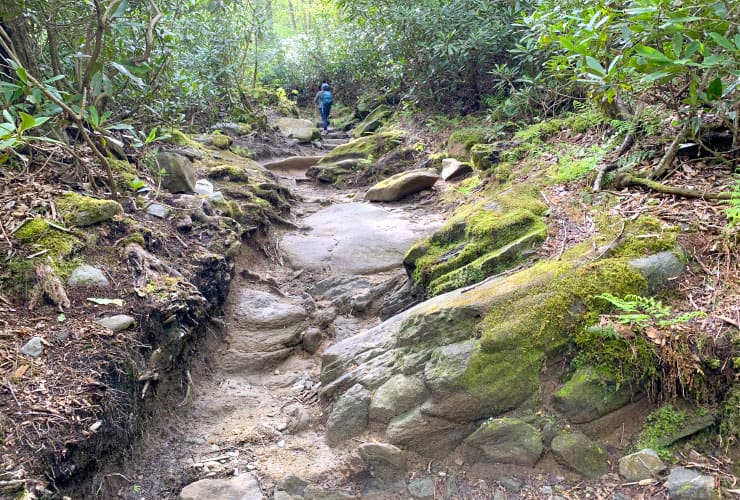 Great Smoky Mountain Rock Trail