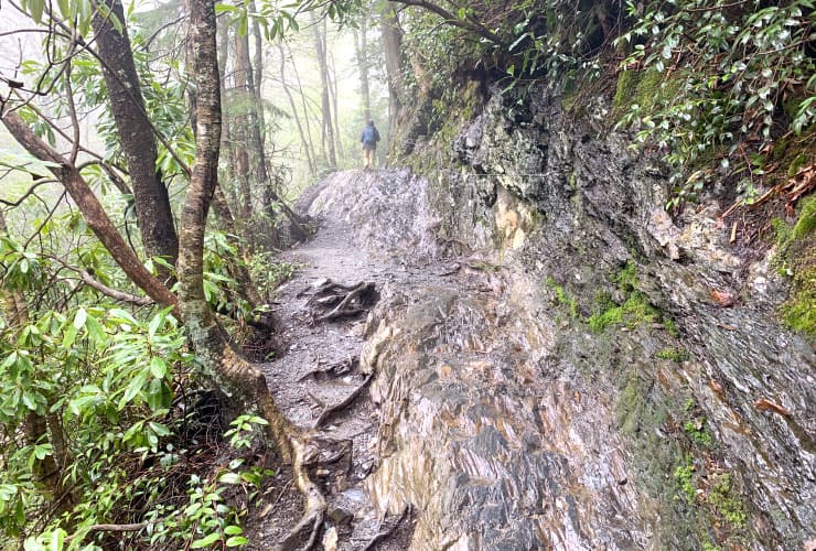 Alum Cave Bluffs Trail Rock Path