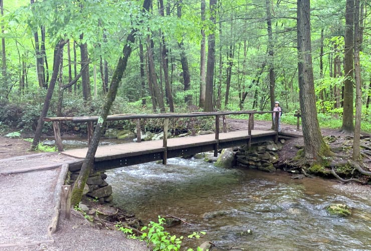 Smoky Mountain Trail Bridge