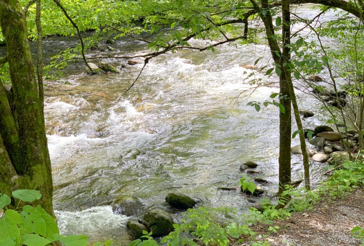GSMNP Gatlinburg Trail River