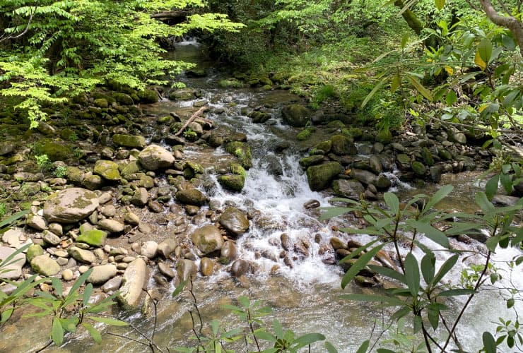 Gatlinburg Trail River