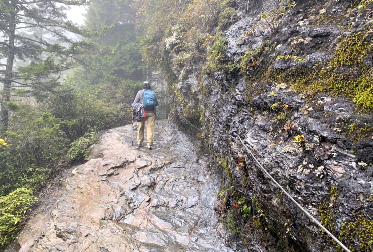 Alum Cave Bluffs Trail Layered Rock Path