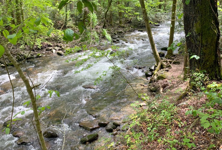 Great Smoky Mountains Hiking Trails Tributary