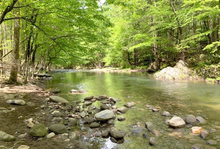 Calm Water Along the Gatlinburg Trail