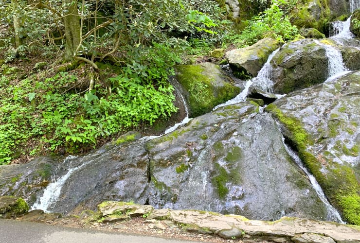Detail View Place of a Thousand Drips Smoky Mountains
