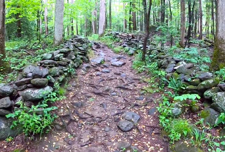 Noah 'Bud' Ogle Place Nature Trail Stone Wall