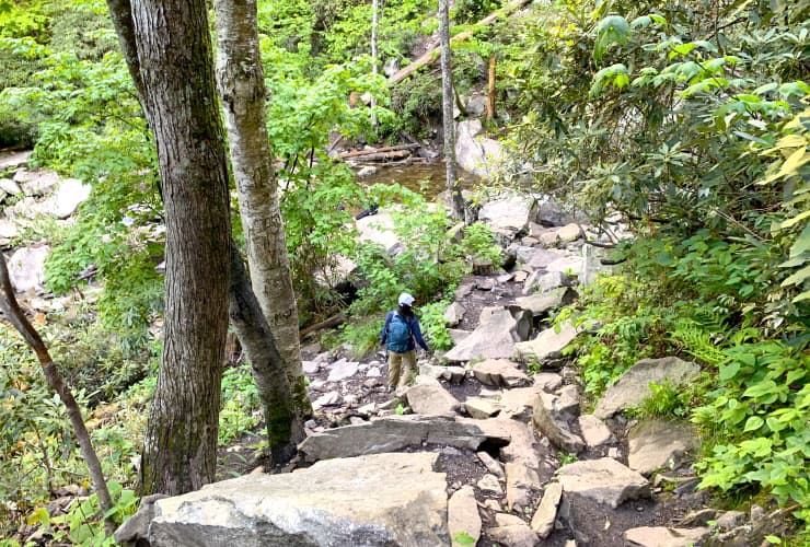 GSMNP Lower Path to View of Laurel Falls