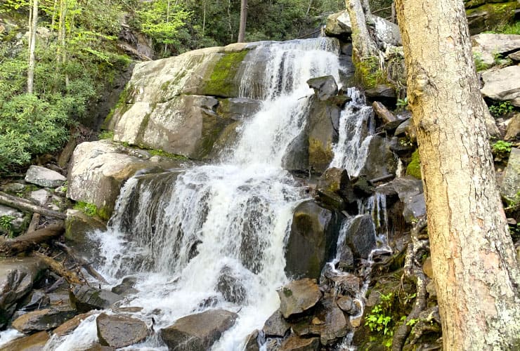 Great Smoky Mountains Waterfalls Laurel Falls