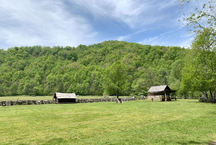 Things to do in Cherokee Mountain Farm Museum