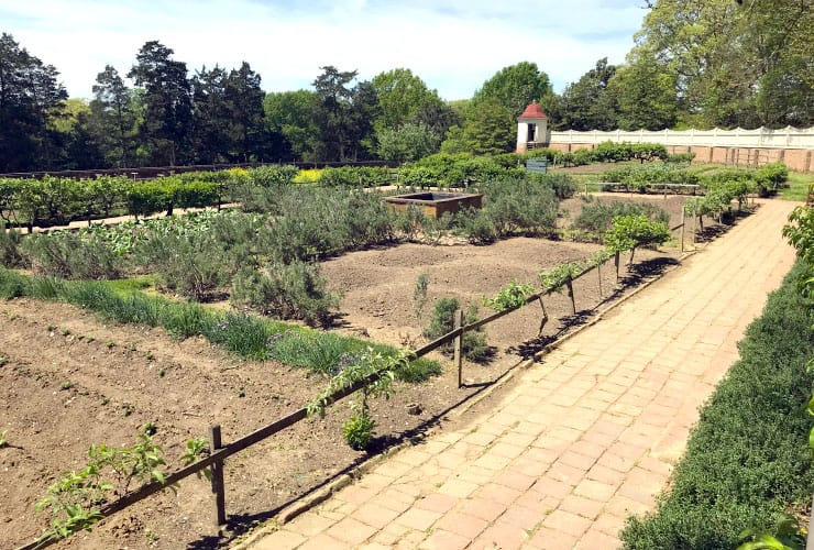 Lower Gardens on Mount Vernon
