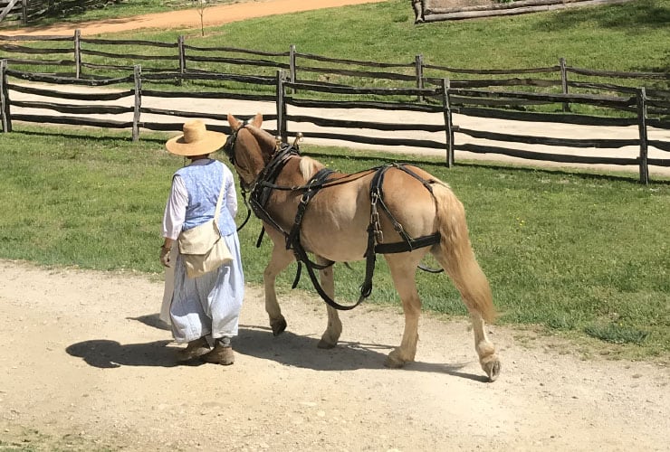 Mount Vernon Plough Horse