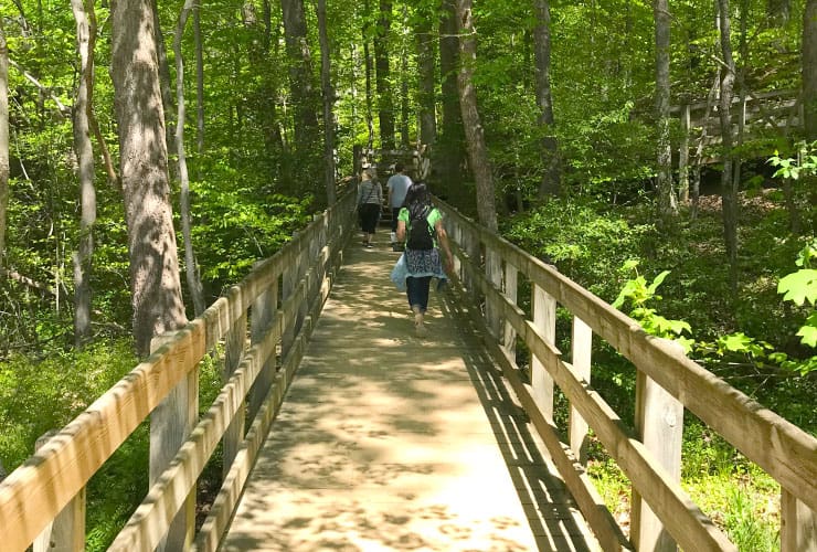Forest Trail Mount Vernon