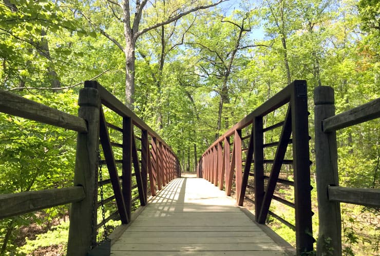 Bridge Mount Vernon Forest Trail