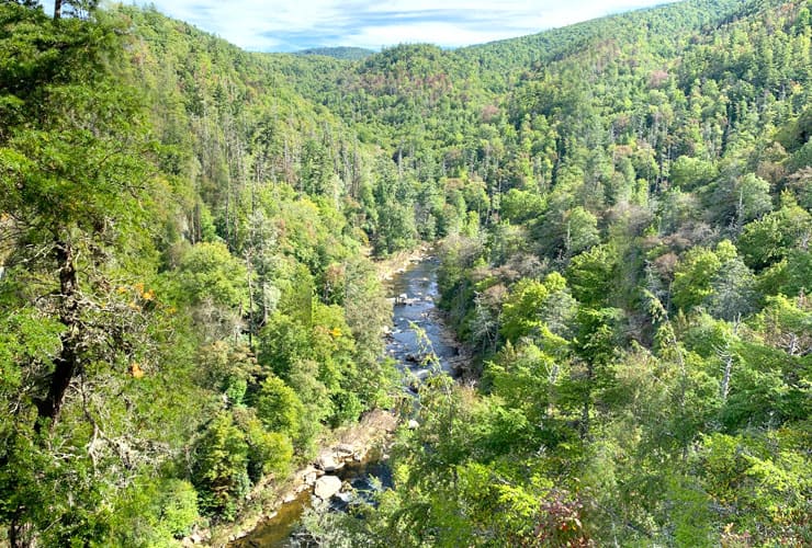 Linville River View from Linville Falls Lower Chimney View