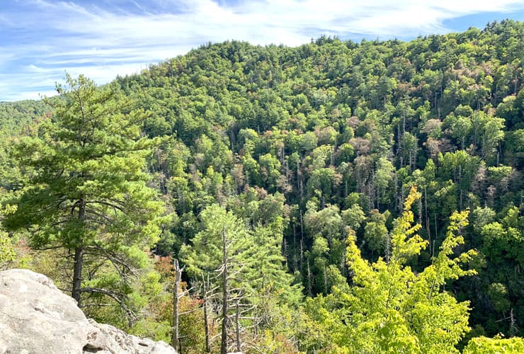 View of Linville Gorge