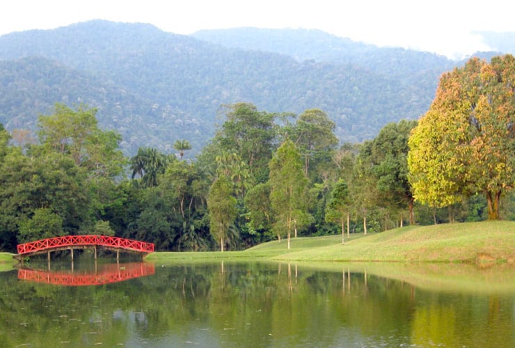 Malaysia Taiping Lake Gardens