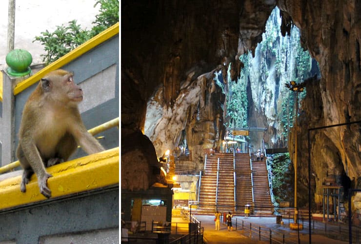 Batu Caves Macaques