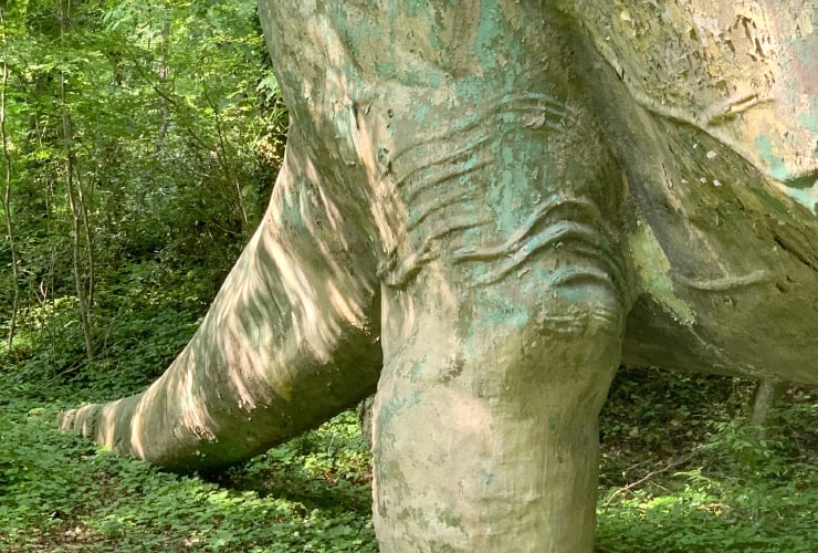 Bronto's Leg Detail