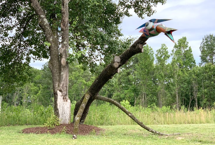 Nature and Art Collide in Carrboro North Carolina