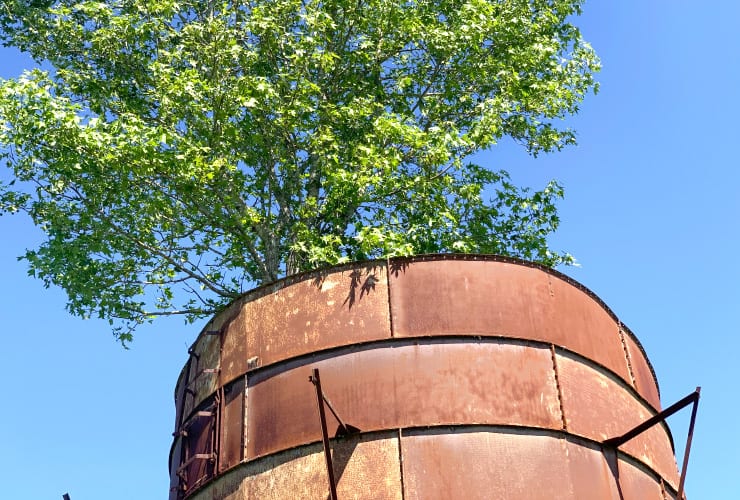 nc_roadside_attraction_structures_rusted_water_tower_03a