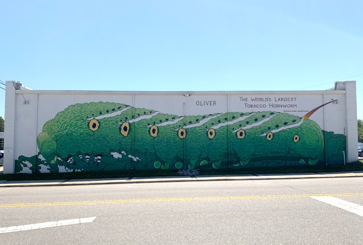 Oliver Tobacco Hornworm NC Roadside Attraction Murals