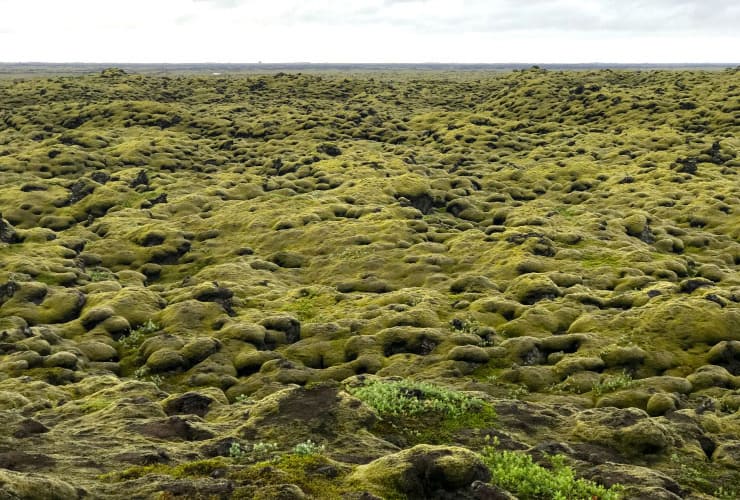 Eldhraun Lava Field Iceland geothermal and volcanic areas