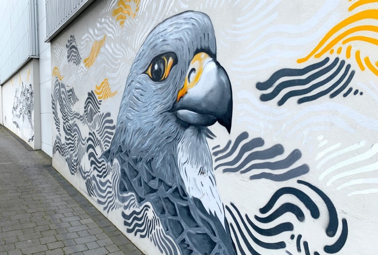 Gray Hawk Mural Best Places to Visit in Reykjavik