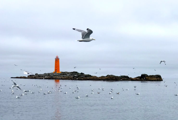 Hrólfsskersviti Lighthouse Best Iceland Beaches and Lighthouses