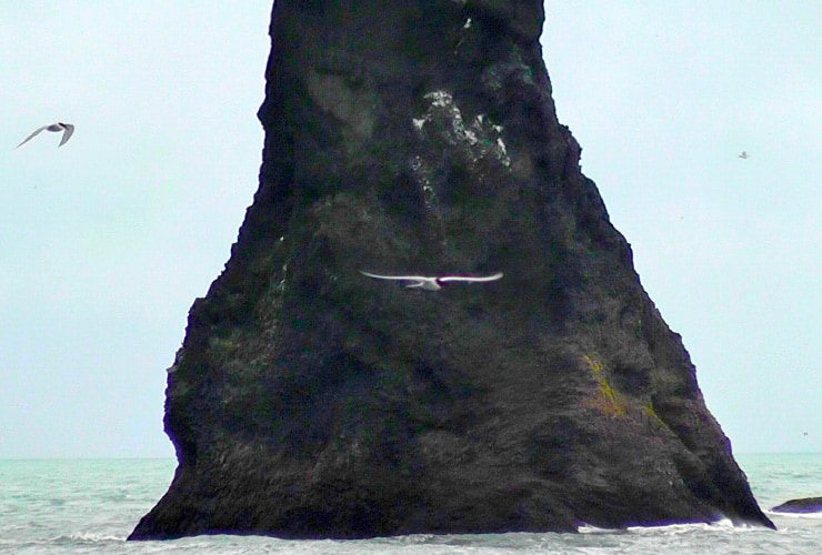 Closeup Basalt Sea Monoliths Reynisfjara Black Sand Beach