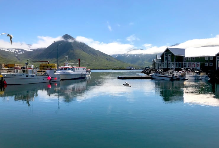 Siglufjörður Harbor