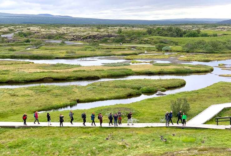 Þingvellir National Park Marshes