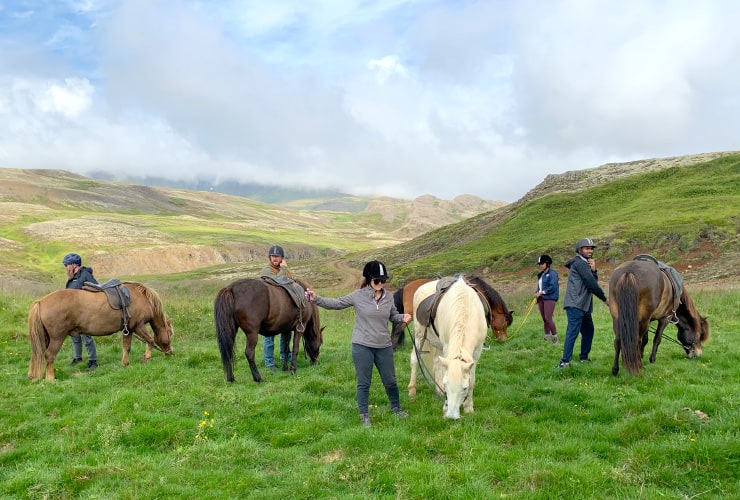 Laxnes Horse Farm Rest and Feed 8 day Iceland Ring Road Tour