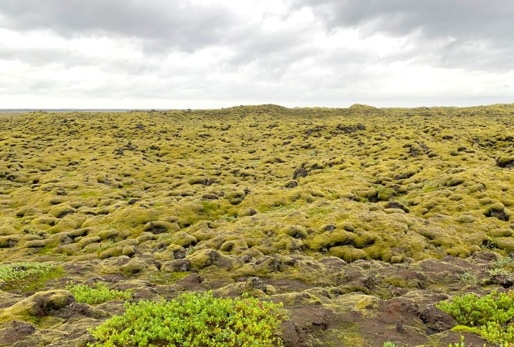 Lava Fields 8 day Iceland Ring Road Tour