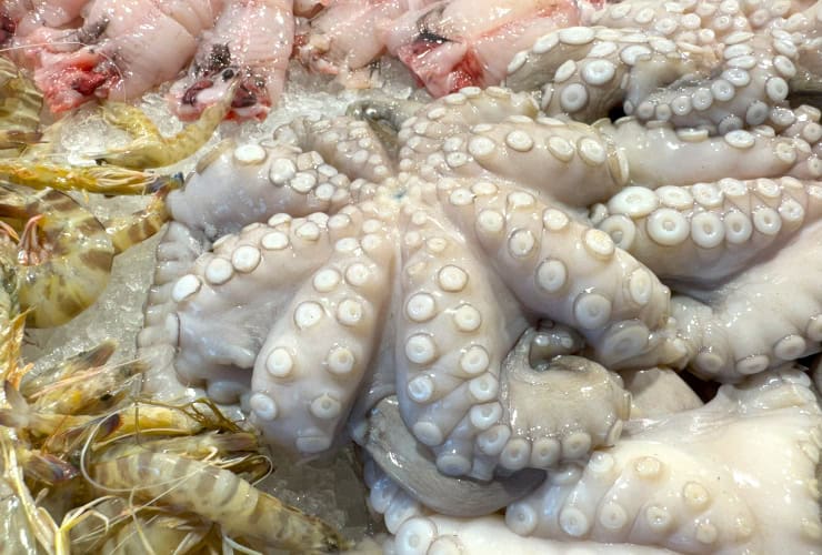 venice_02-02_rialto fish market