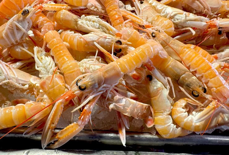 venice_02-04_rialto fish market