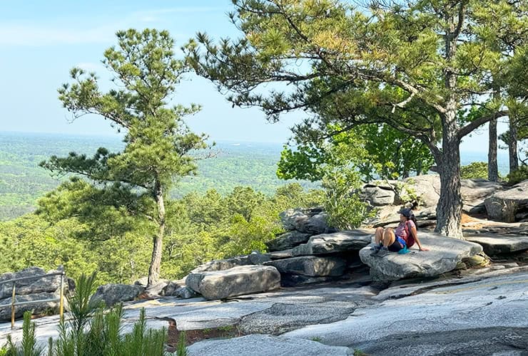 Stone Mountain Georgia Climb View