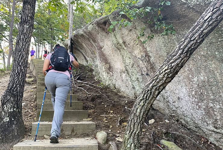 03a_03_summit_side_hike_stone_mountain_nc